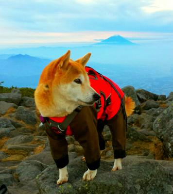 八ヶ岳から富士山をバックに❗