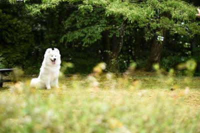 待ち合わせ