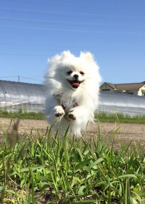 飛びます、飛びます❣