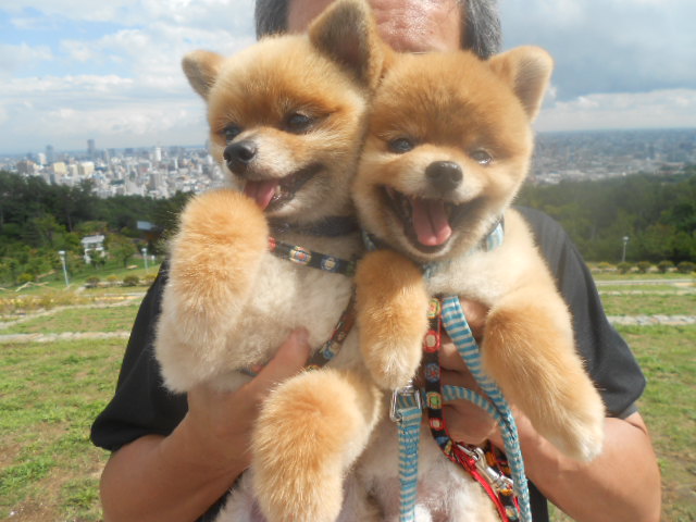 大好きな丘の上の公園