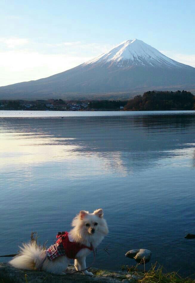 秋の富士山