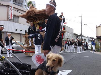 祭りだ！