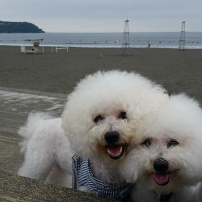 海とシュガムー