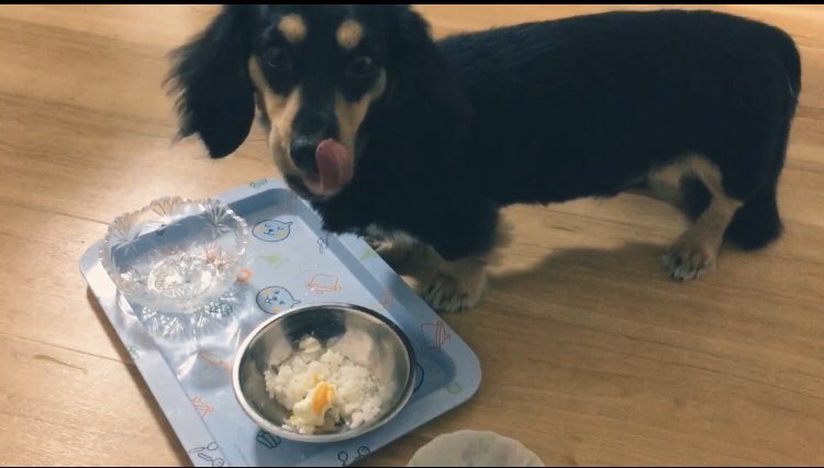 食欲の秋