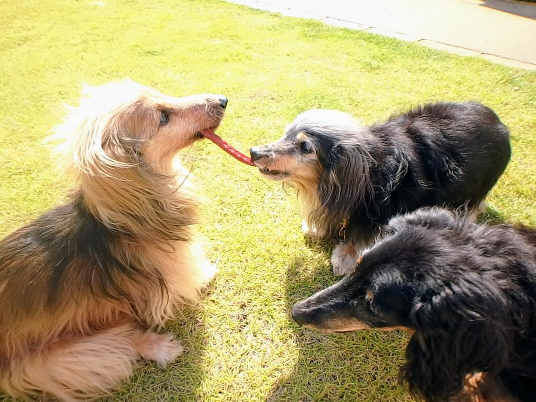 親子でもぐもぐ♪