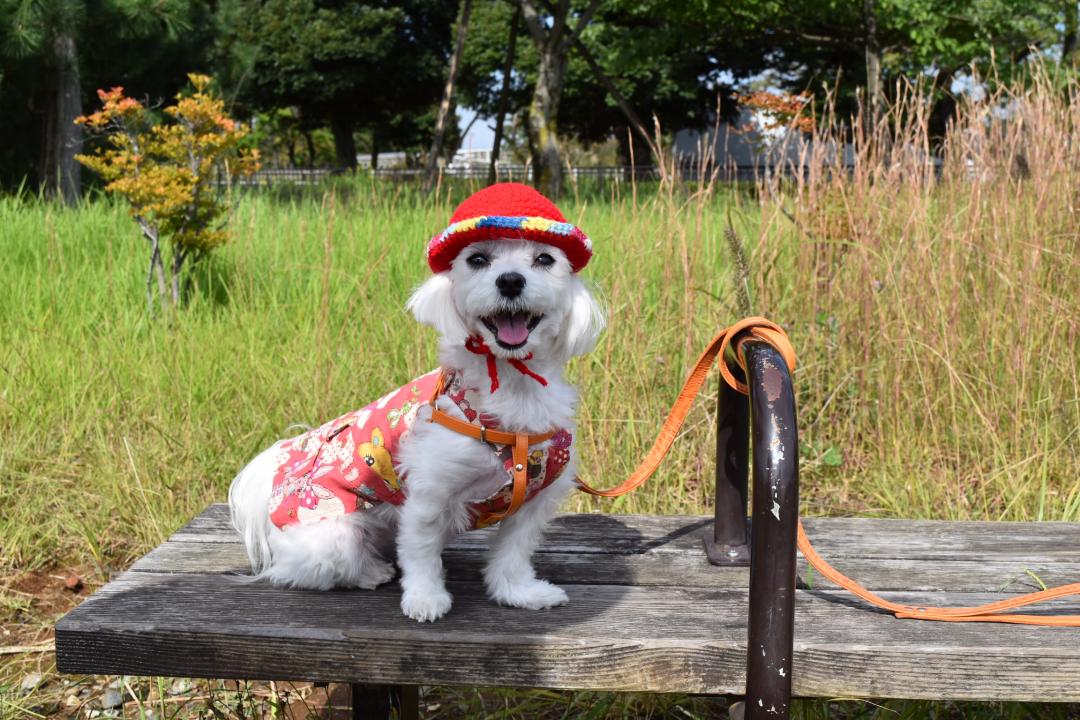 手編みの帽子でモデルさん