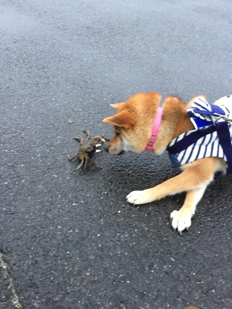 まさかの！食欲の秋