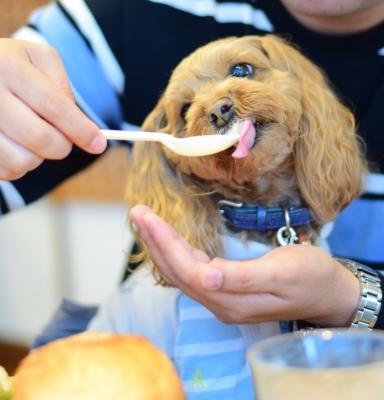 食欲の秋