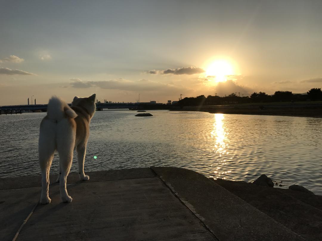 夕焼けの秋