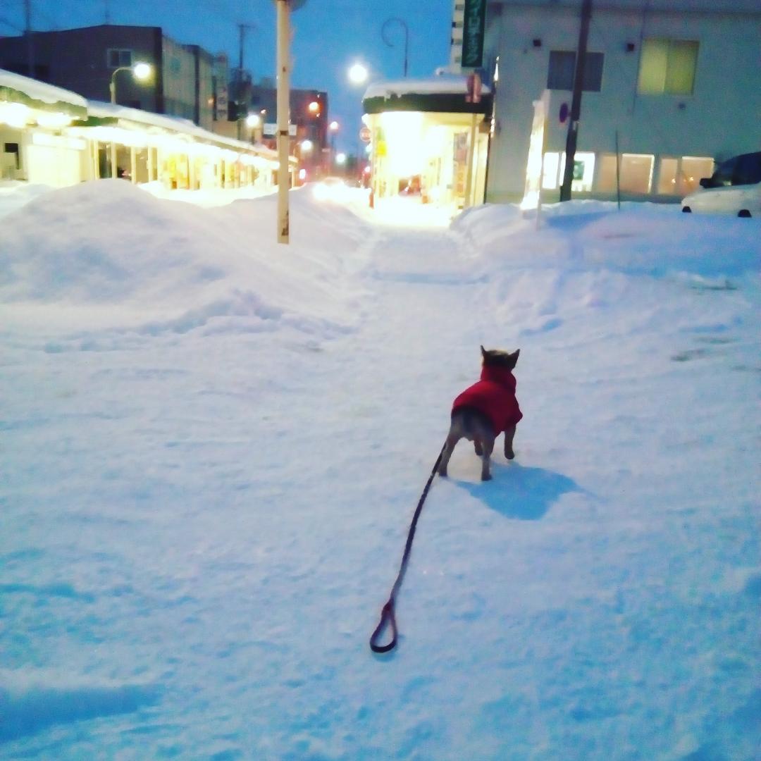 北海道の冬