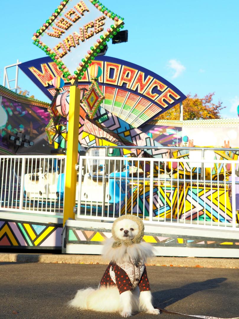 わんわん遊園地☆