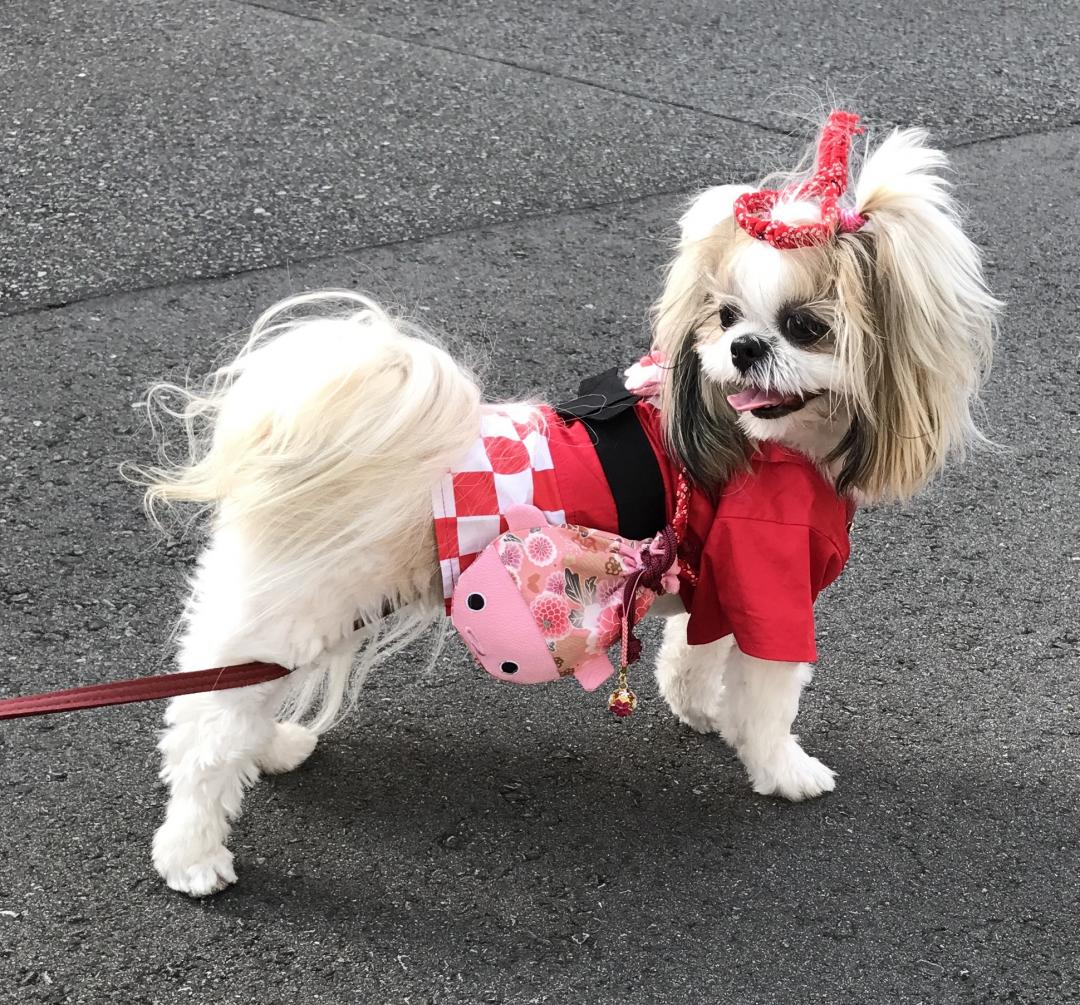 夏祭り