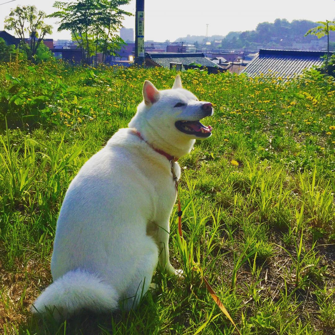 お日様浴びてにっこり～～☀️☀️