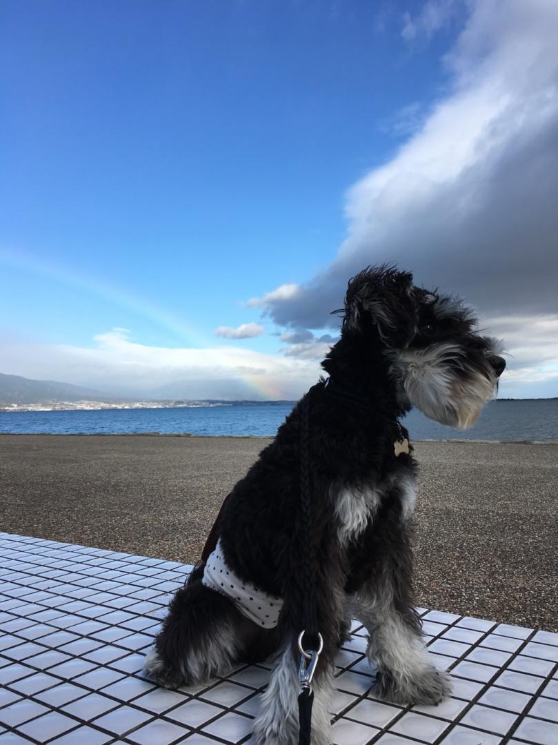 琵琶湖と虹とショーン