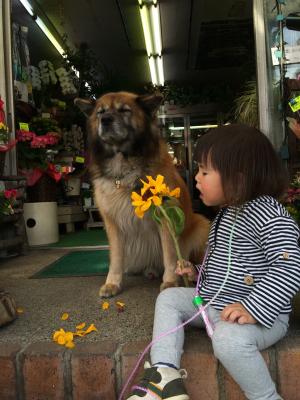 見守る。