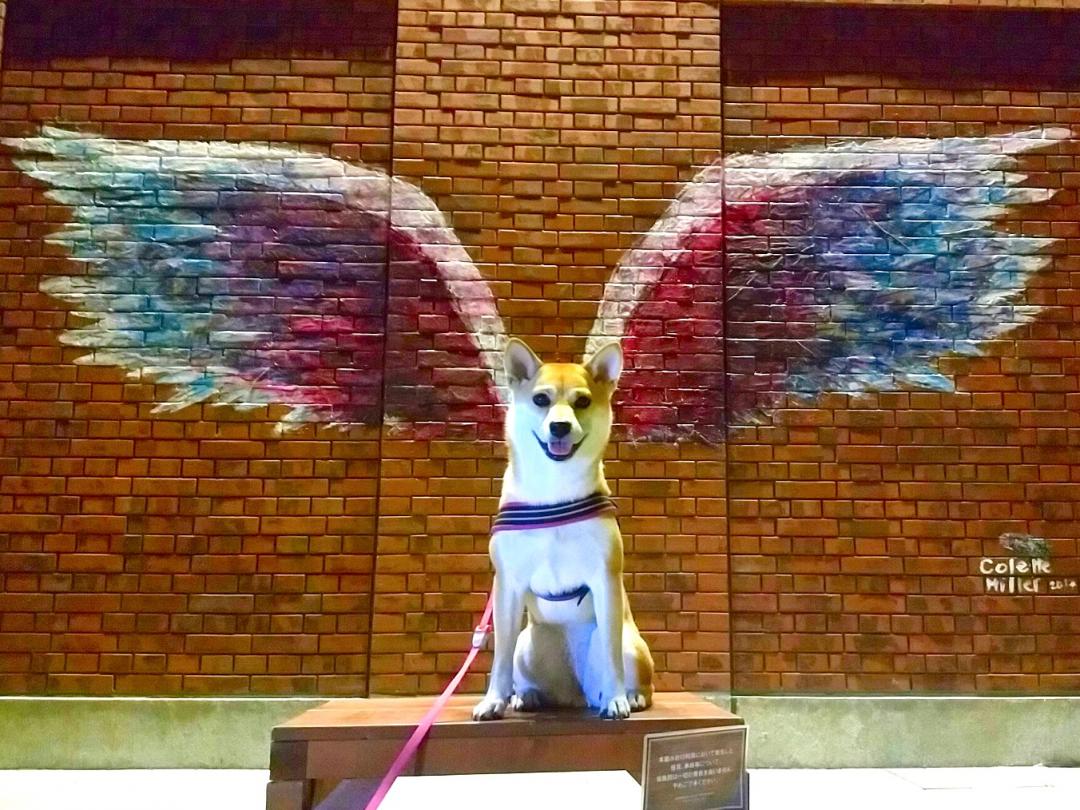 angel犬