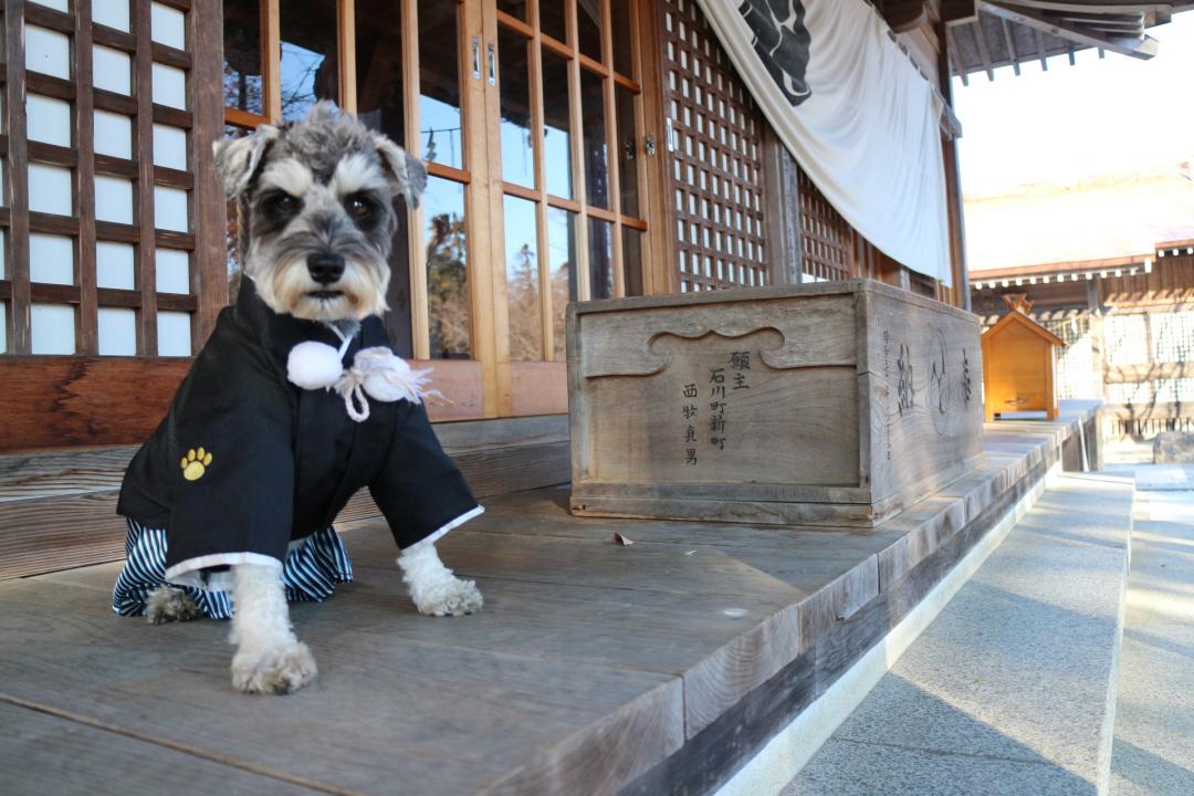 今年もワンダフルな年に(*^▽^*)