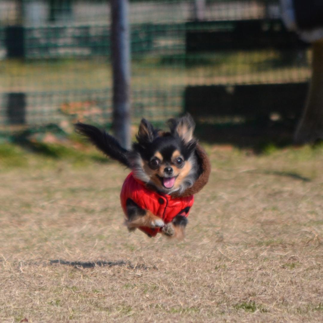 ジャーンプ‼︎