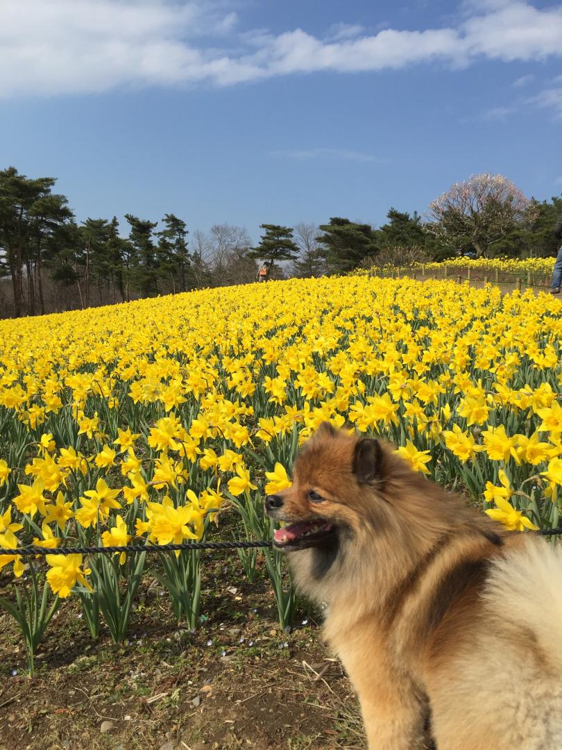 茨城の海浜公園へお出かけ☆