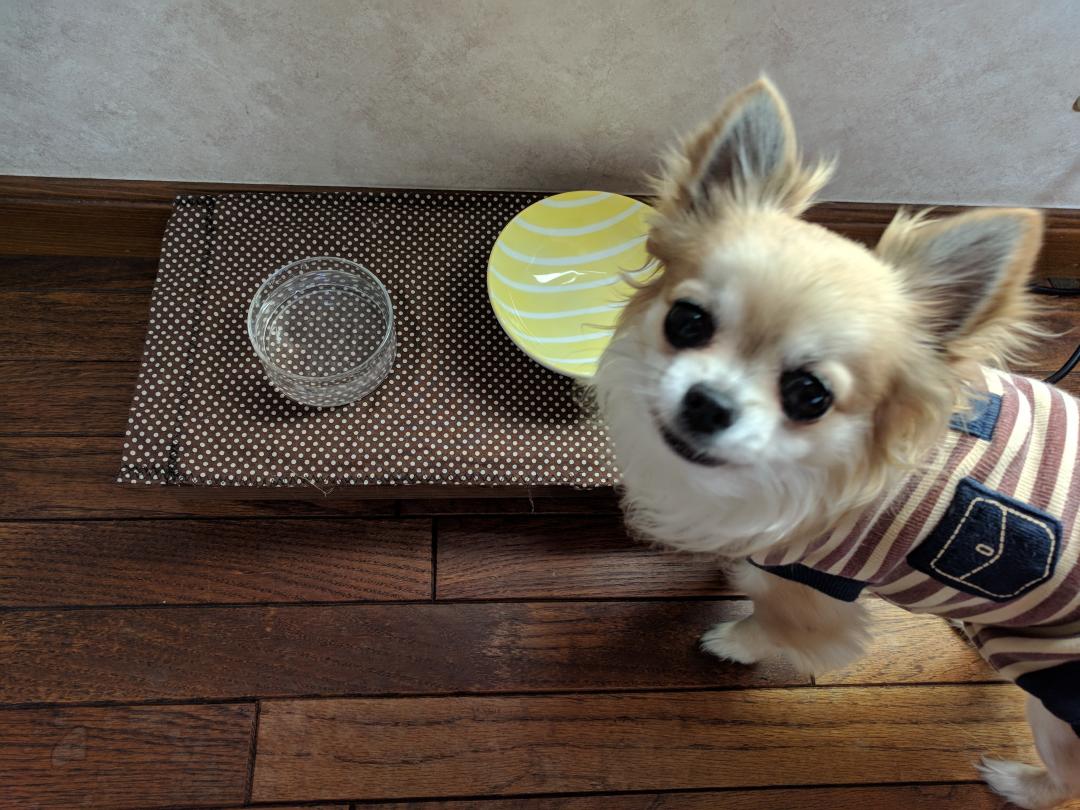 ご飯全部食べたよー