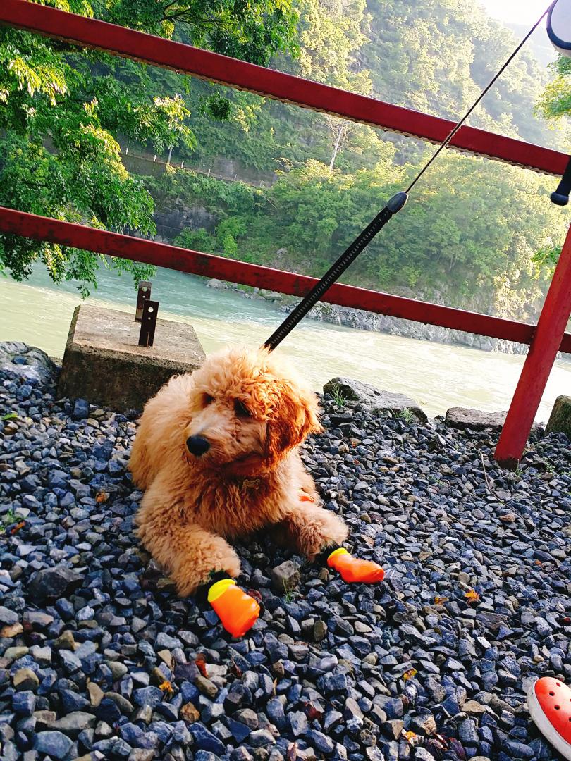 夏は、やっぱりキャンプ⛺川沿いで遊ぶぞ～