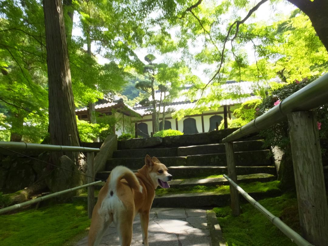 空気が美味しい