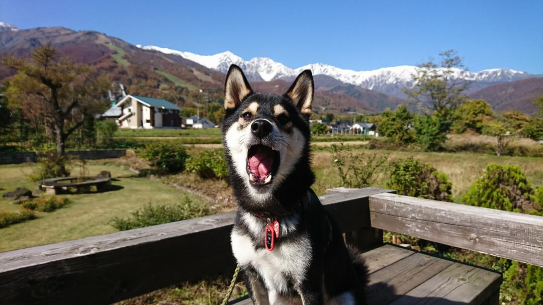 白馬連山と紅葉