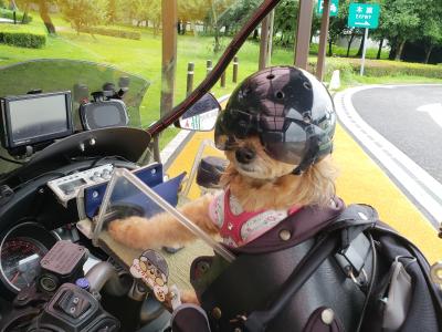 バイク犬、ティナの旅。