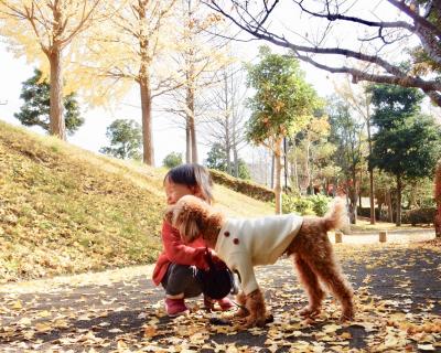 大好きなひかりちゃんと秋みーつけた。