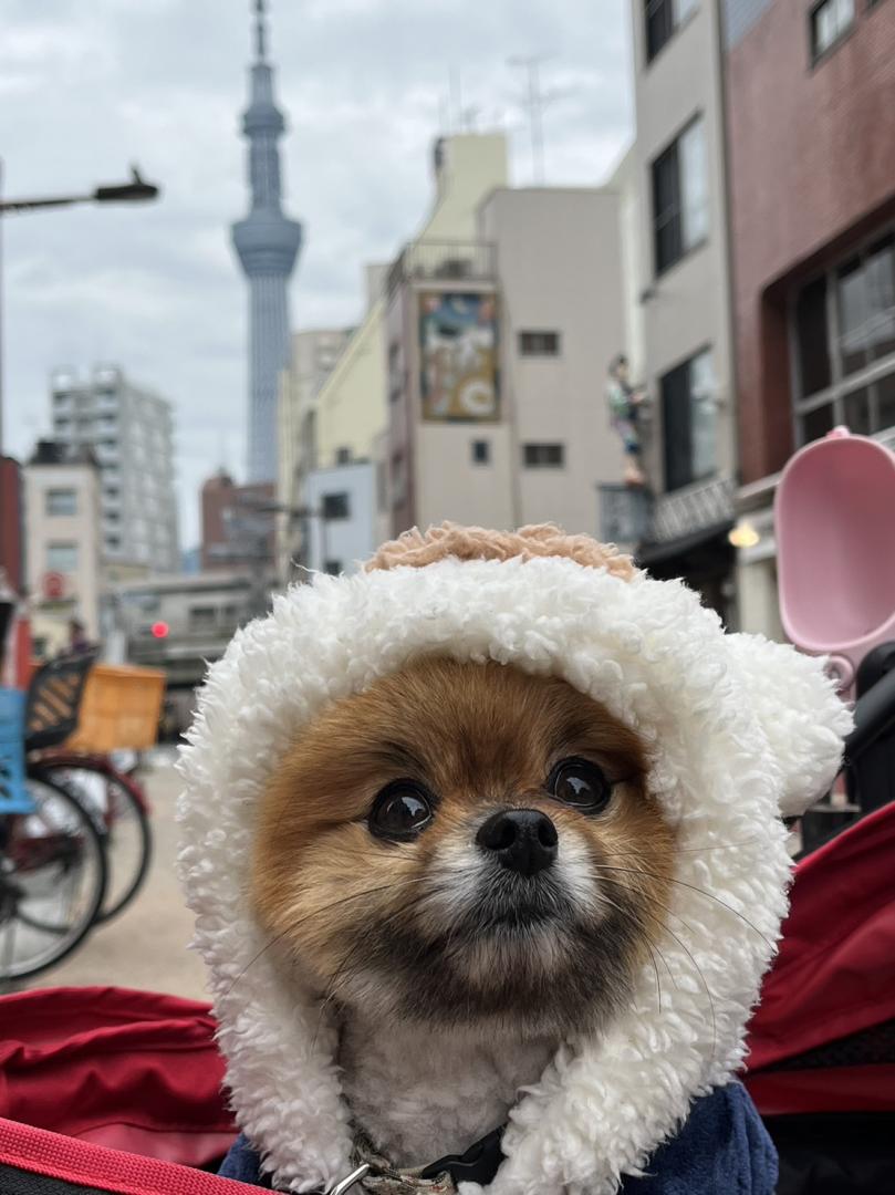 東京スカイツリー散歩