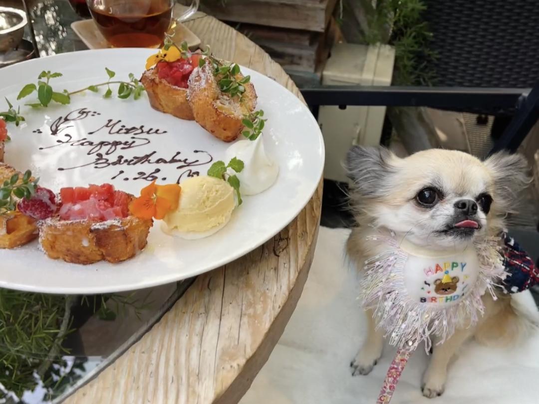 お花と一緒にバースデーパーティー