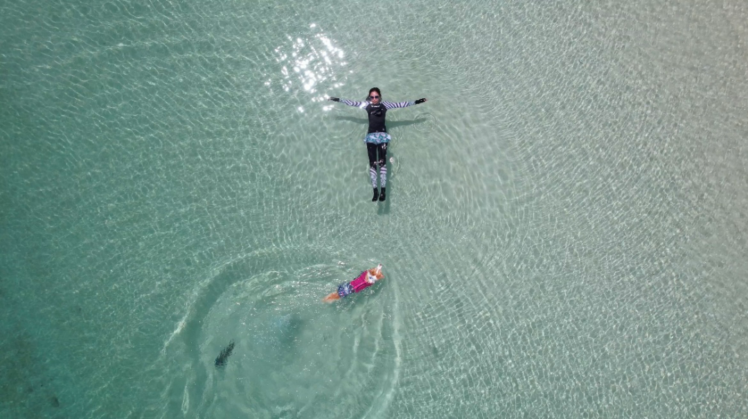 この海貸切