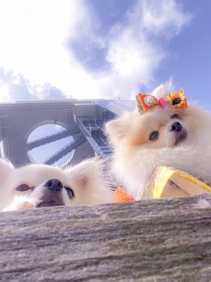 浴衣でお散歩した日の夏の空