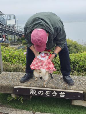 天橋立またのぞき