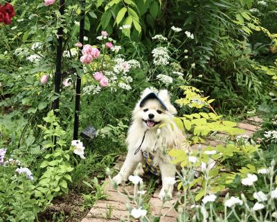 花に埋もれて…