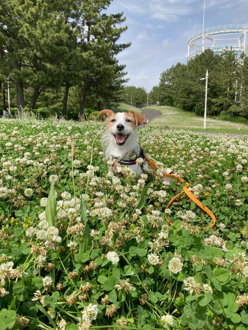 お花に囲まれて