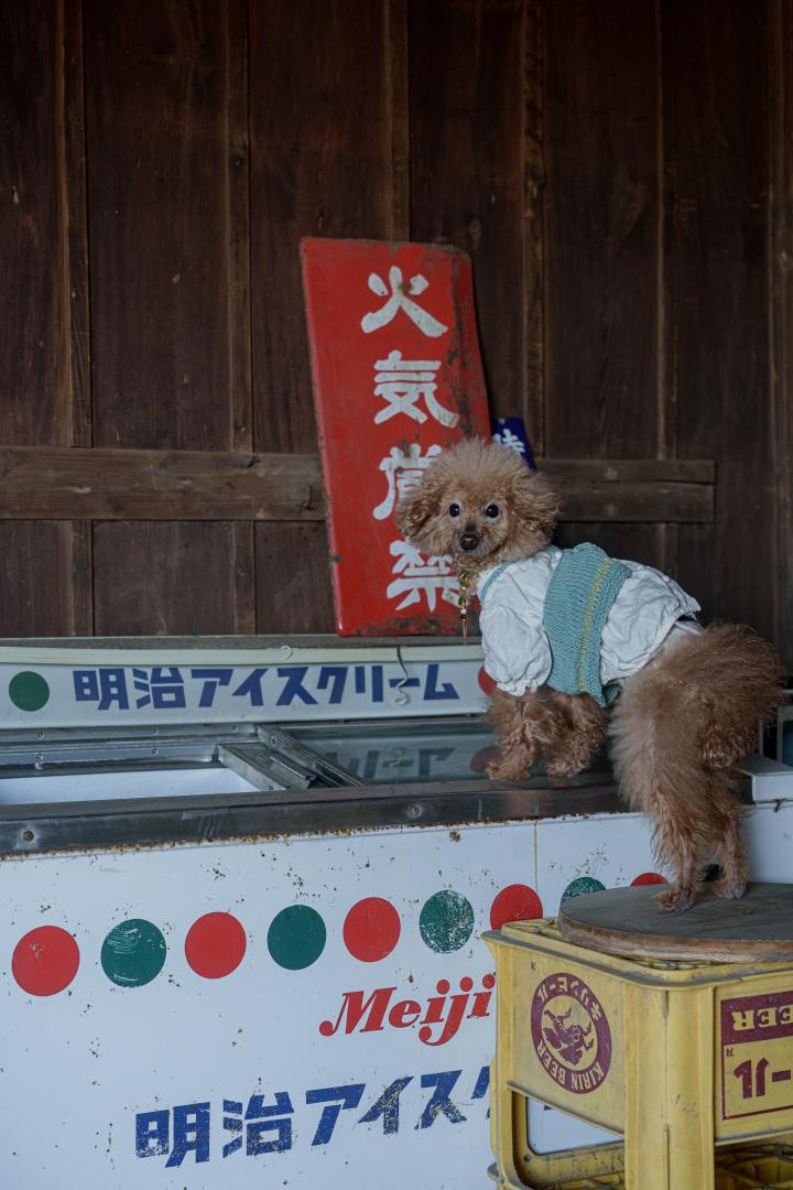 昭和の夏