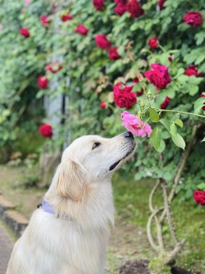 良い香り…♡