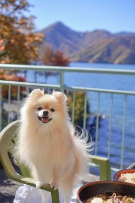 紅葉狩り絶景ランチ♪