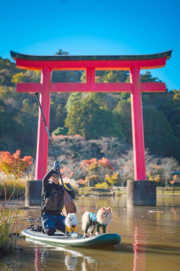 秋の湖上散歩