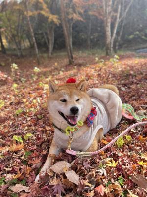 紅葉と笑顔