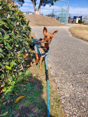 公園でみ～つけた