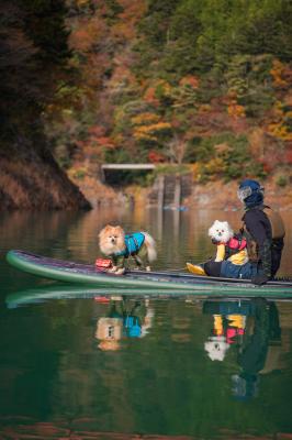 湖上から紅葉狩り