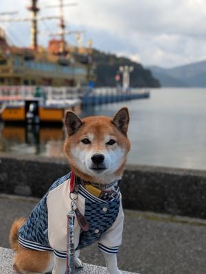 芦ノ湖　寒い