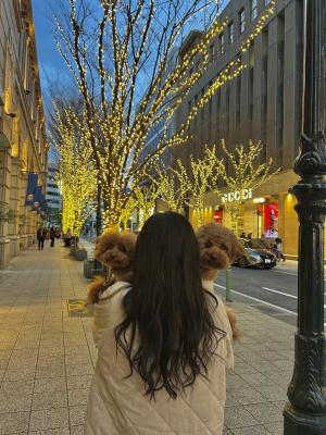 愛犬とイルミネーション