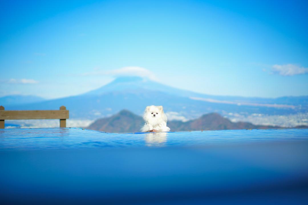 帽子被った富士山