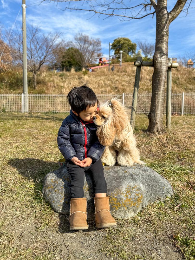 ナイショのお話