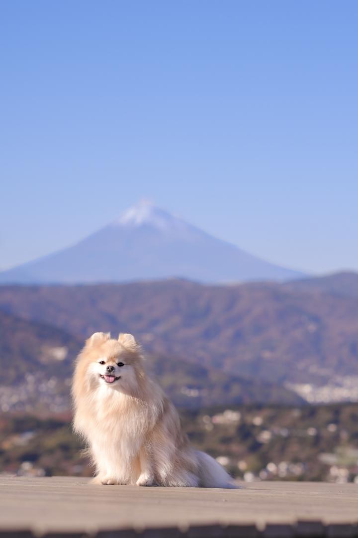 富士山と僕