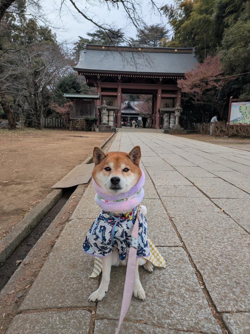 大宝八幡宮