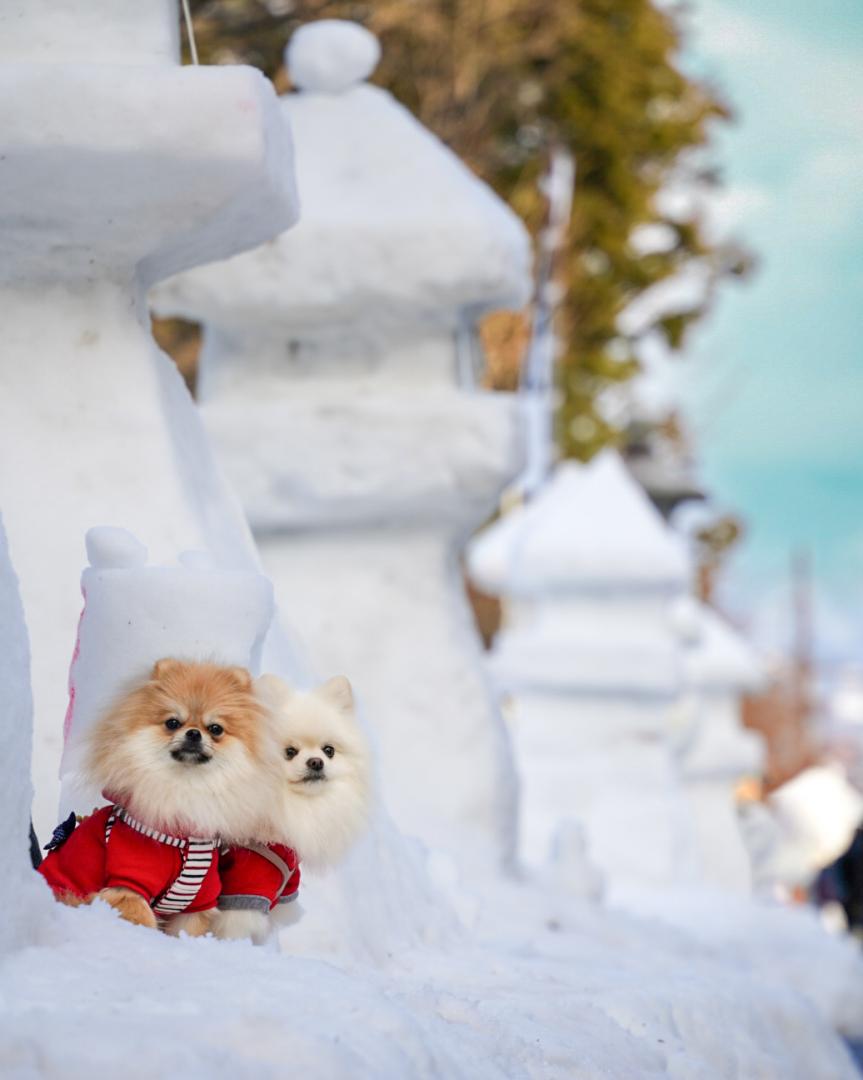 雪灯籠とイチとコッペ